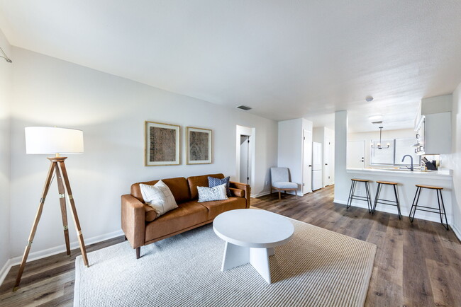 Main Living Area - 203 W William Cannon Dr