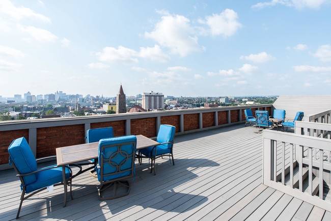 City View Lofts Apartments Baltimore Md Rooftop Deck City View Lofts