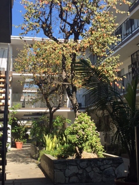 Foto principal - 365 W Doran St