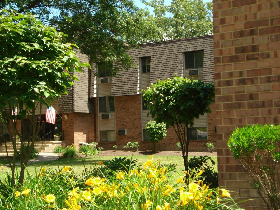 Peppertree – photo 2