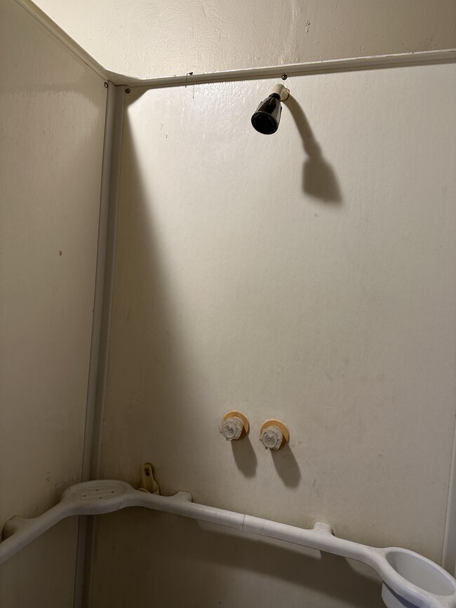 shower - 3001 Hanna St