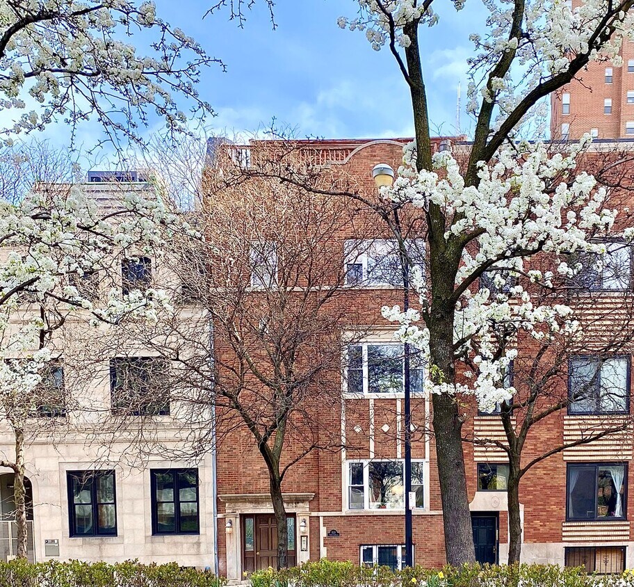 Foto principal - 859 N LaSalle Dr