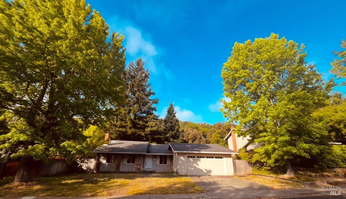 Building Photo - 31 Mt Tallac Ct