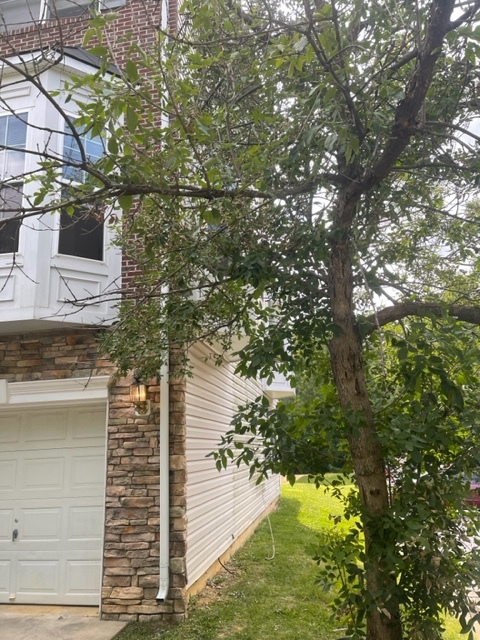 Foto del edificio - 14001 Castle Ridge Way