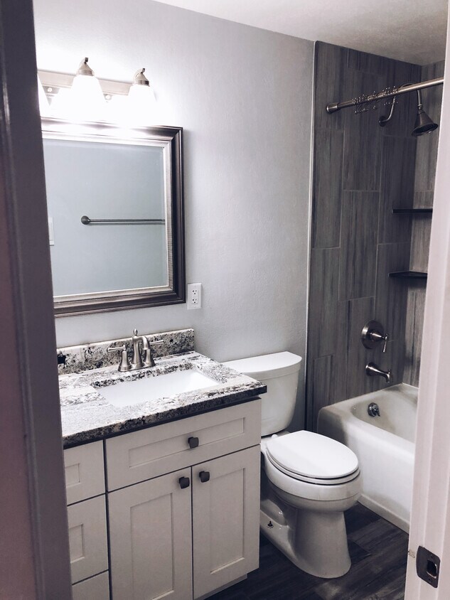 Bathroom - 4590 Saulsbury St