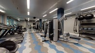 This fitness center offers a comprehensive workout environment designed to accommodate a wide range of exercise needs. The space is anchored by bold navy blue structural columns that contrast sharply against the gray walls, creating a visually dynamic atmosphere. Overhead, rows of linear LED lighting illuminate the entire floor uniformly, ensuring a bright and functional environment throughout.

The flooring is a standout design element, featuring a striking geometric hexagonal pattern in blue, gray, and white tones that adds character while providing a durable surface suited for gym use. Full-length mirrors line one wall, visually expanding the space and allowing users to monitor their form during workouts.

The equipment layout is organized and spacious, with strength-training machines—including cable systems, seated press stations, and rowing attachments—positioned centrally. Cardio equipment, including treadmills and elliptical machines, is situated near a large glass wall that offers views of an outdoor green area, providing a refreshing visual connection to the exterior. Free weights, resistance bands, and exercise balls are also available. A door with keypad access ensures a secure and controlled environment.