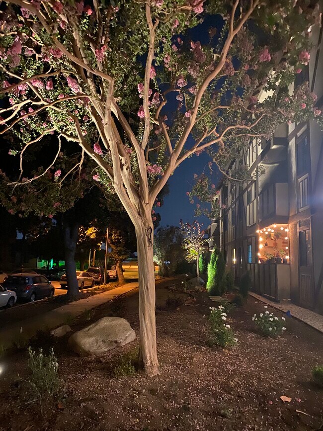 Foto del edificio - 425 S Stoneman Ave