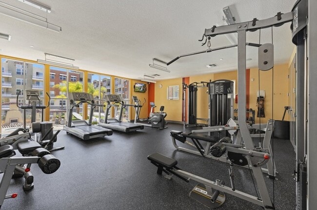 Building Photo - Richmond