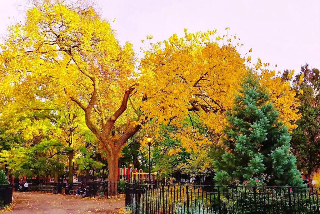 Foto del edificio - 221 E 10th St