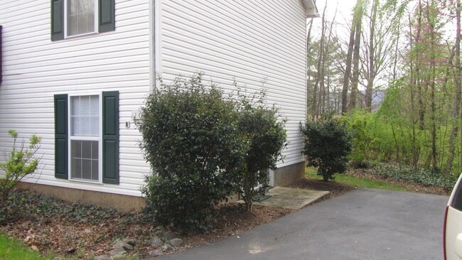 Building Photo - Black Mountain Duplex