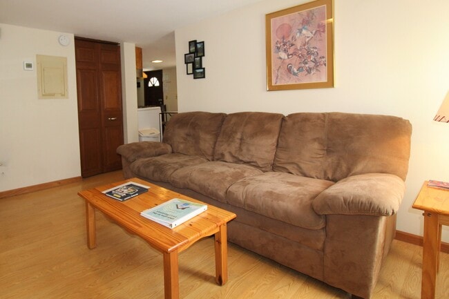 Apartamento en planta baja totalmente amueblado - 119 Chestnut St