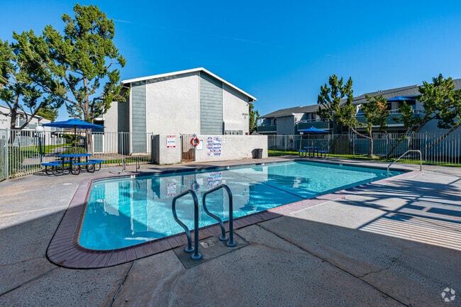 Pool - VILLAGE GREEN