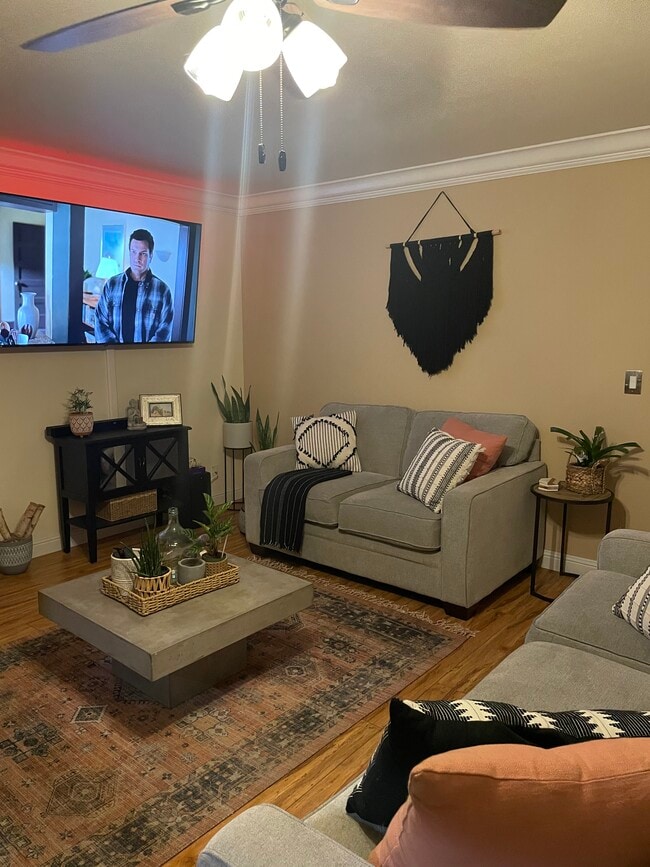 Living room - 225 Burt St