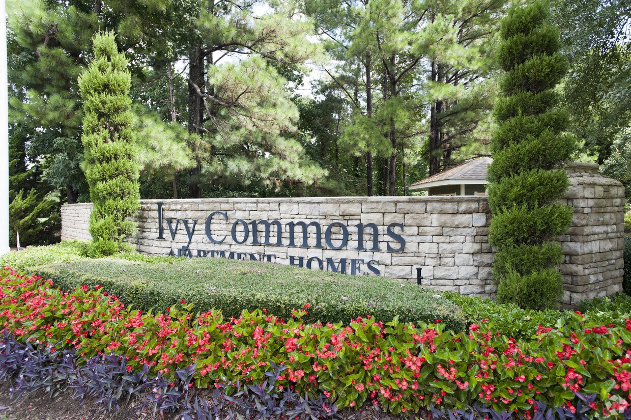 Ivy Commons Apartments 3555 Austell Rd SW Marietta, GA