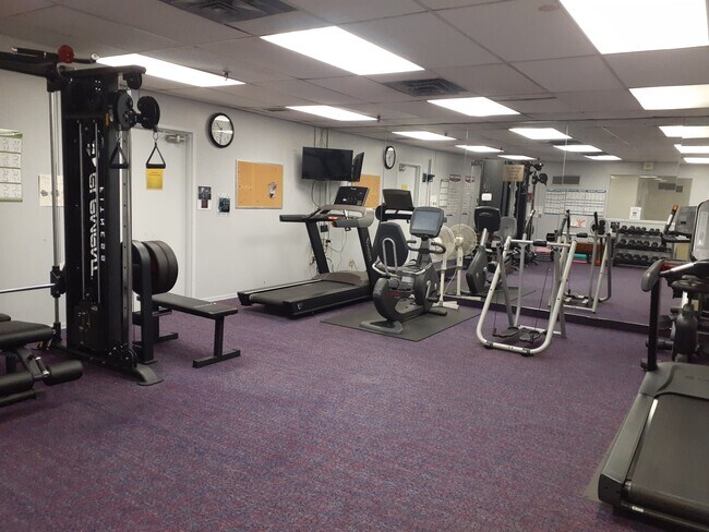 Gym - 66 Falby Crt