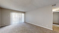 Located at 383 Van Gordon St in Lakewood, Colorado, this one-bedroom, two-bathroom residence offers a well-organized, single-floor layout designed for comfortable everyday living. The living room is carpeted with neutral tones and features a sliding glass door fitted with vertical blinds that opens to a private balcony, allowing natural light to fill the space. An adjoining dining area connects seamlessly to the galley-style kitchen, which is outfitted with white shaker cabinetry, light stone countertops, wood-look flooring, and a full suite of stainless steel appliances including a refrigerator, range, dishwasher, and overhead ventilation. Both bathrooms feature wood-look flooring, clean white fixtures, and a shower-tub combination. The generously sized primary bedroom is carpeted and includes a window with outdoor views, a dedicated closet, and direct access to one of the bathrooms. A second bathroom serves the rest of the home. Additional conveniences include a hallway, in-unit laundry, and textured ceilings throughout. The overall aesthetic is clean and neutral, providing a functional and move-in ready living environment.
