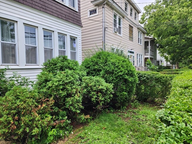 Front yard - 303 S 3rd Ave