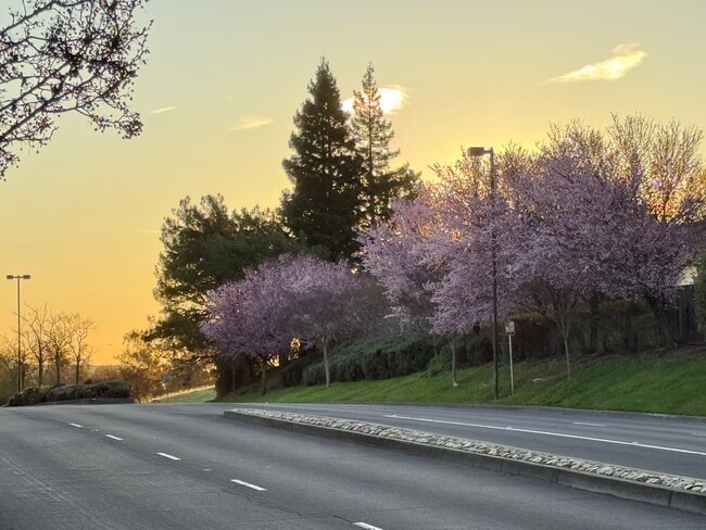 Foto del edificio - 2033 Silvercrest Dr