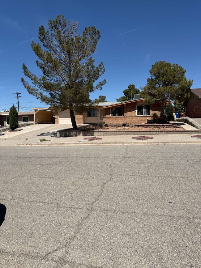 Building Photo - 10449 Chinaberry Dr