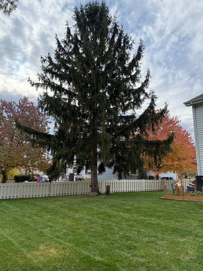 Building Photo - 284 Washo Dr