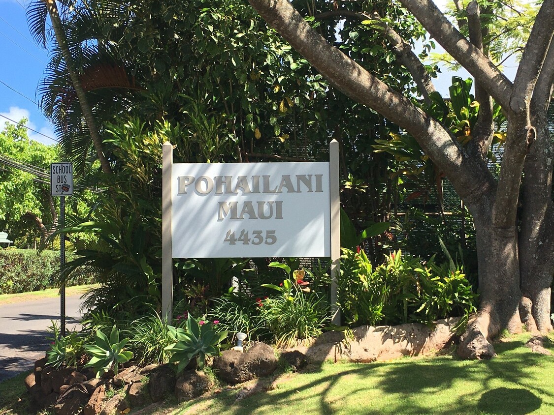Primary Photo - Pohailani 2 Bedroom Available September 5th!