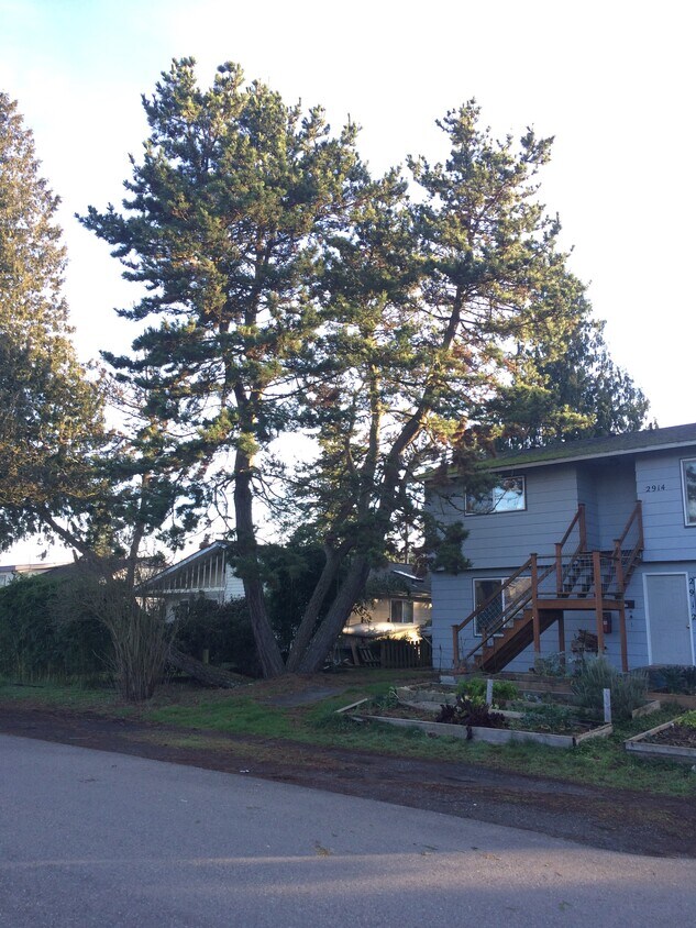 2912 Kulshan St, Bellingham, WA 98225 Townhome Rentals in Bellingham