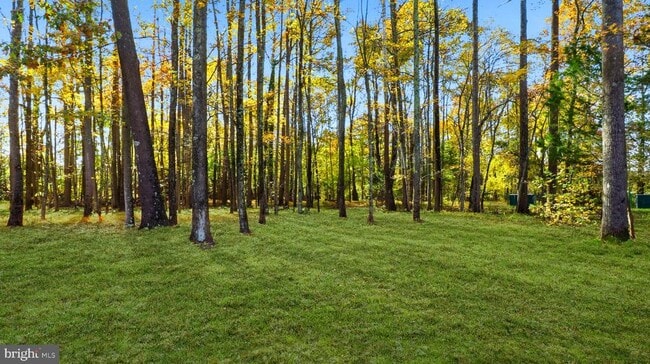 Building Photo - 14101 Kathleen Ln