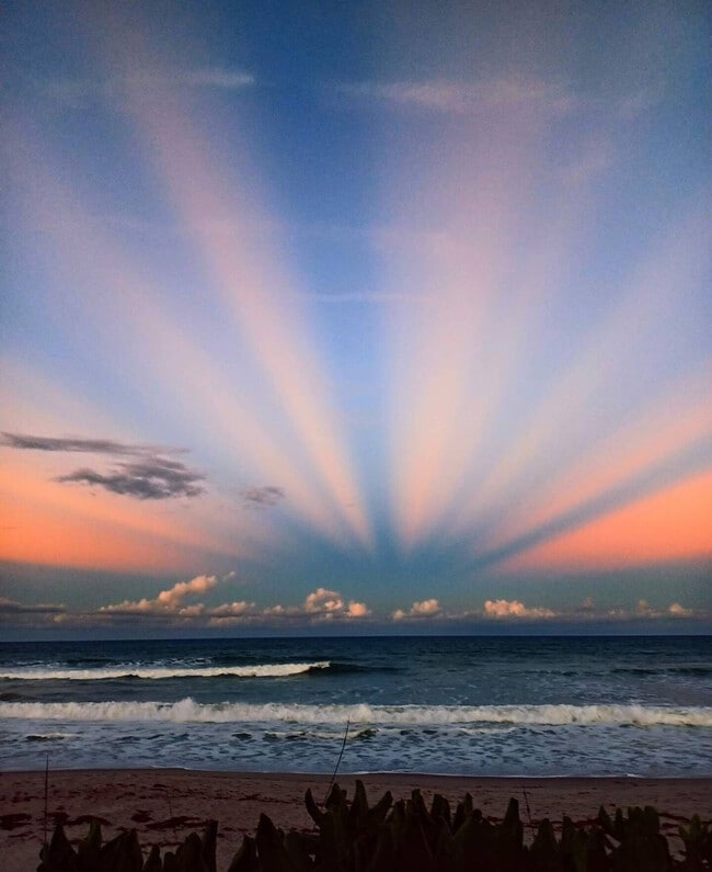 Building Photo - 8600 Ridgewood Ave