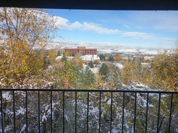 View from patio - 24 S Holman Way