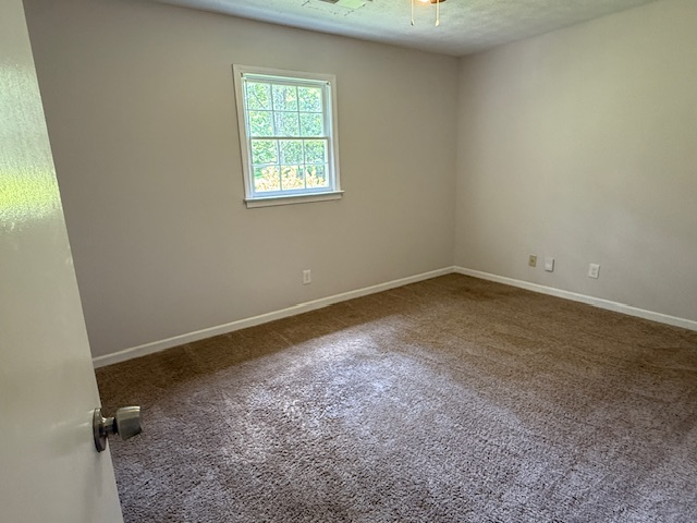 Foto del edificio - 3906 Willowbrook Dr