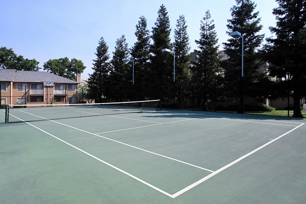Building Photo - The Pointe Apartment Homes