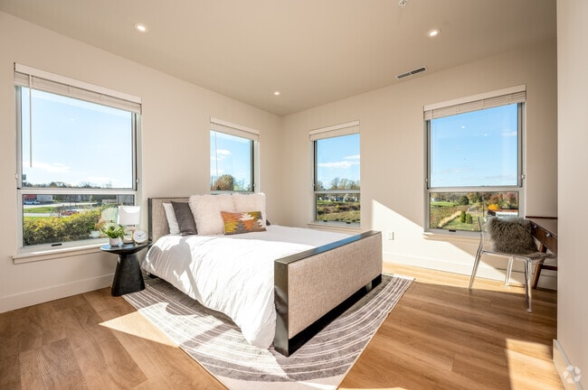 2BR, 2BA - 1,191SF - Primary Bedroom - The Vibe on Paramount