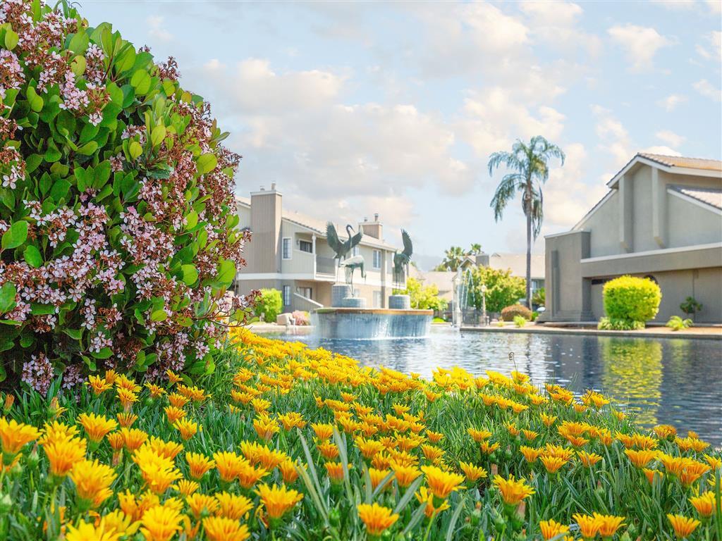 Hermosa laguna con fuente - Heron Pointe Apartments & Townhomes