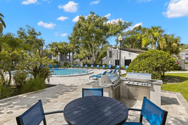 Foto del edificio - The Pointe at Carrollwood