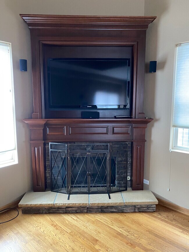Gas start fireplace - 1843 N Sheffield Ave