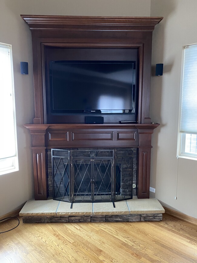 Gas start fireplace - 1843 N Sheffield Ave