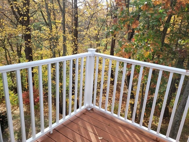 Exclusive use Deck - Fall - 11 Silver Hill Ln