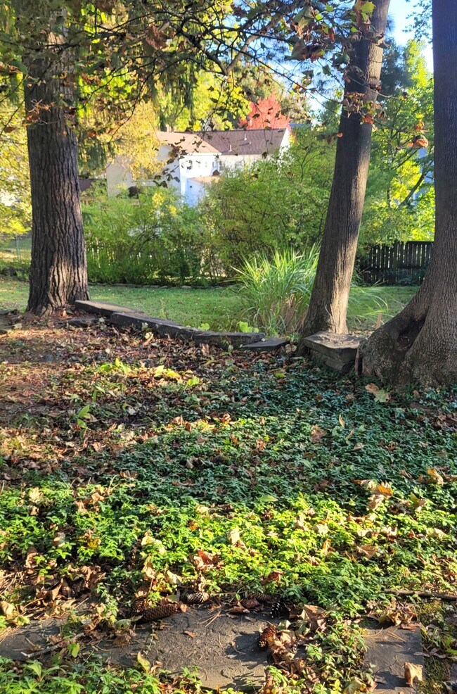 Foto del edificio - 423 Mitchell St