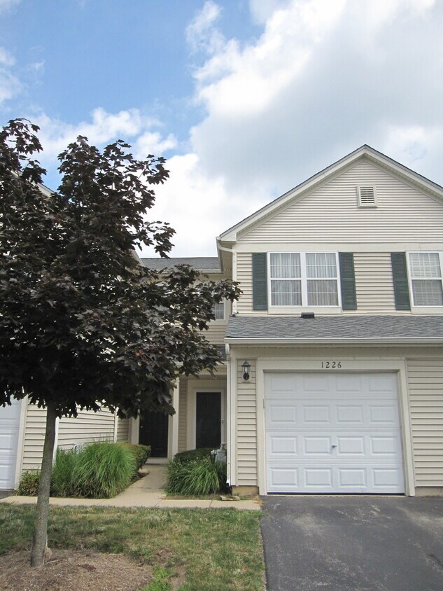 1226 Brookdale Dr, Carpentersville, IL 60110