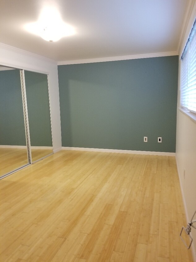 HUGE 21X14foot large bedroom with 2 closets - 901 5th Ave N