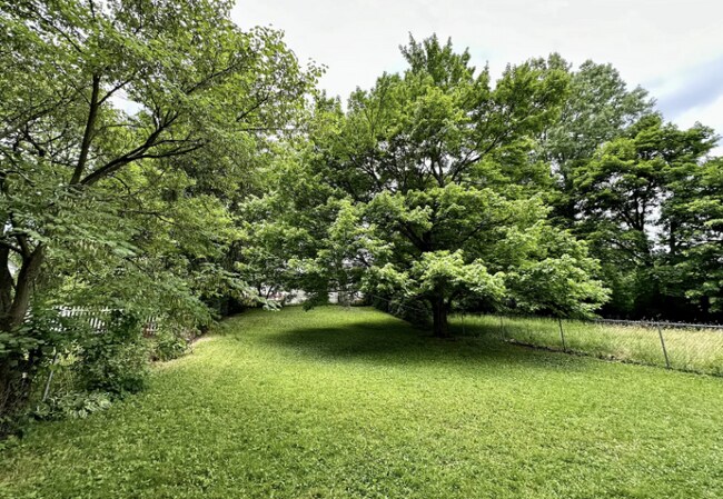 Foto del edificio - 71 Rowland Ave