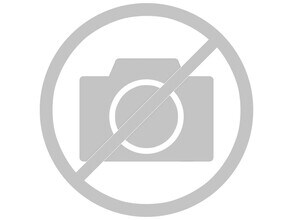 Building Photo - 506 Bald Eagle Dr