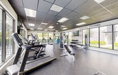 Located in Goulds, FL, this fitness center offers a thoughtfully designed, single-floor layout comprising a generously sized gym and a dedicated utility room. The gym area is expansive and open, providing ample space for a comprehensive range of workout equipment, including treadmills, cable machines, weight benches, a dumbbell rack, and resistance machines. Rubber flooring throughout ensures durability and safety during exercise. A suspended drop ceiling with recessed panel lighting provides consistent, even illumination across the entire floor. Large floor-to-ceiling windows line the perimeter walls, flooding the interior with natural light and offering views of the surrounding greenery, creating an inviting and energizing atmosphere. Bold motivational typography covers the walls, featuring fitness-focused words and phrases such as "Attitude and Effort," "Discipline," "Training," and "Be Stronger," reinforcing an encouraging workout environment. A mounted flat-screen TV is positioned centrally for entertainment during exercise. Built-in wooden shelving and double French doors lead to the utility room, which provides practical storage and support functions. The overall design balances functionality with an uplifting aesthetic, making this a well-appointed and welcoming fitness facility.