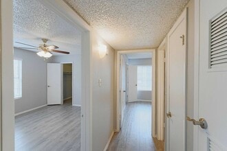 Interior Photo - The Social Apartments