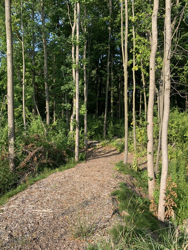 Senderos privados para caminar - Olinda Trail Apartments