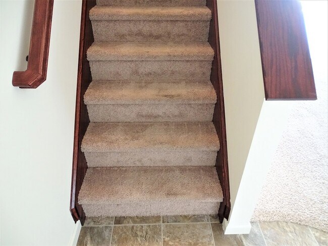 Foto del edificio - 312 Meadow View Dr