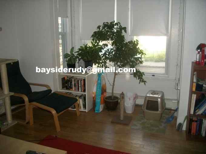 Primary Photo - 46 Lopez St