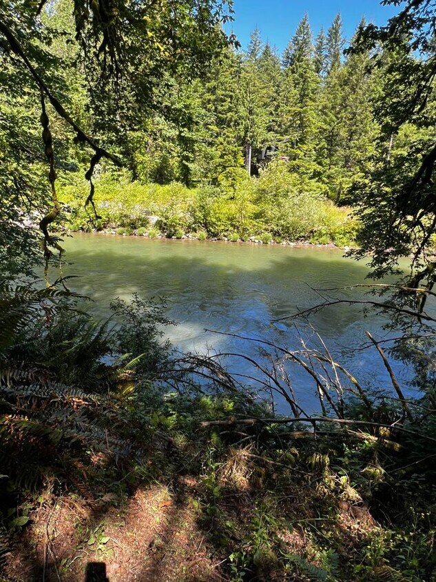 Foto principal - River Rapids