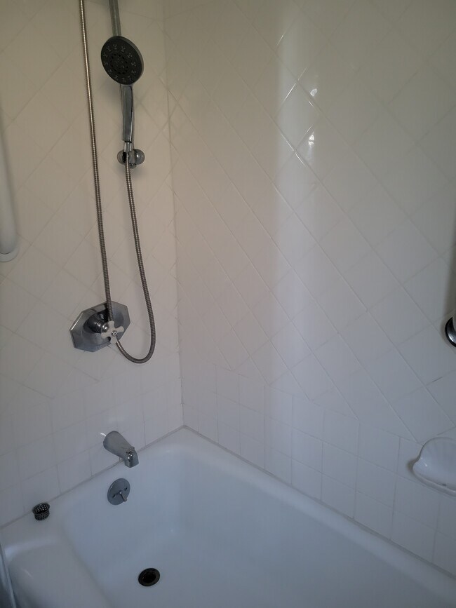 Bathroom Unit 4 - 1422 Lou Dillon Ln