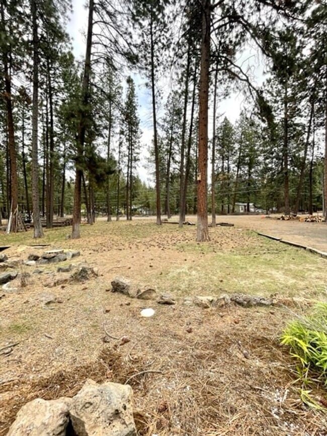 Building Photo - Beautiful 3 Bedroom Single Level home on a...